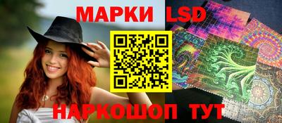 спиды Кинель