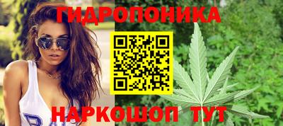 прущая мука Кингисепп