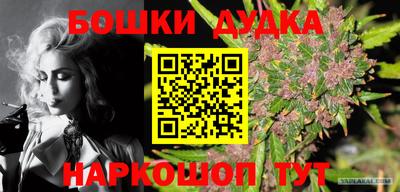 прущая мука Кингисепп