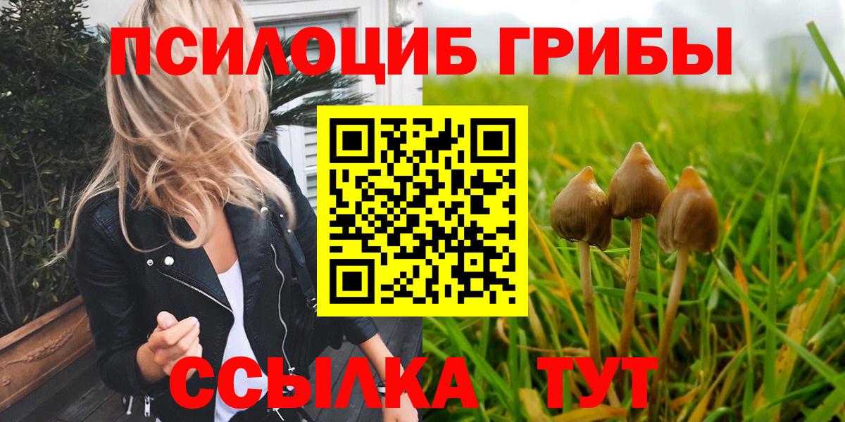 Псилоцибиновые грибы ЛСД Бузулук