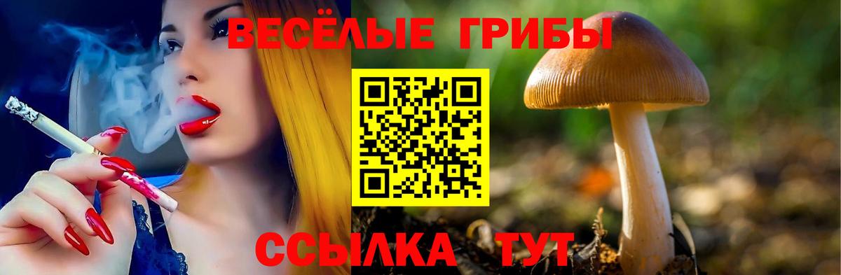 Псилоцибиновые грибы Psilocybe  Вход с VPN  дарнет шоп  Бузулук 